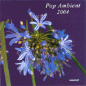 Pop Ambient 2004