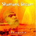 Shamanic Dream