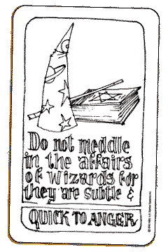 DO NOT MEDDLE IN THE AFFAIRS OF WIZARDS FOR THEY ARE SUBTLE & QUICK TO ANGER